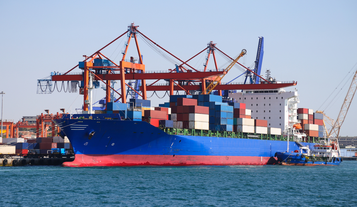 import export